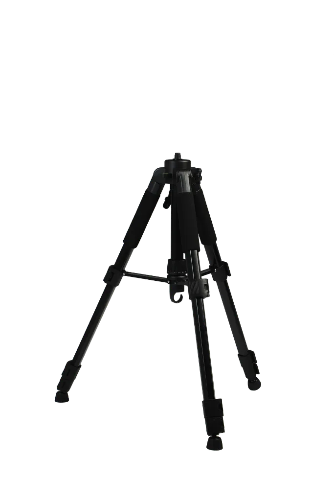 5.webp