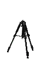 5.webp