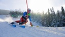 Skiing timing in action