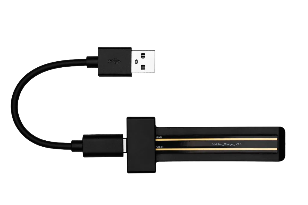 USB-C Charger